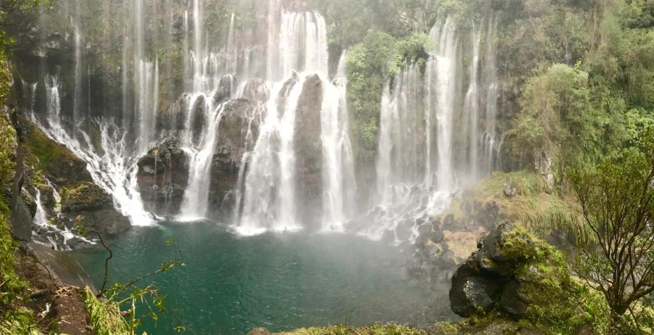 Lounge Des Hauts, 3 Maisons A L'Etang-Sale Avec Vue Sur L'Ocean Indien Et La Foret Bagian luar foto