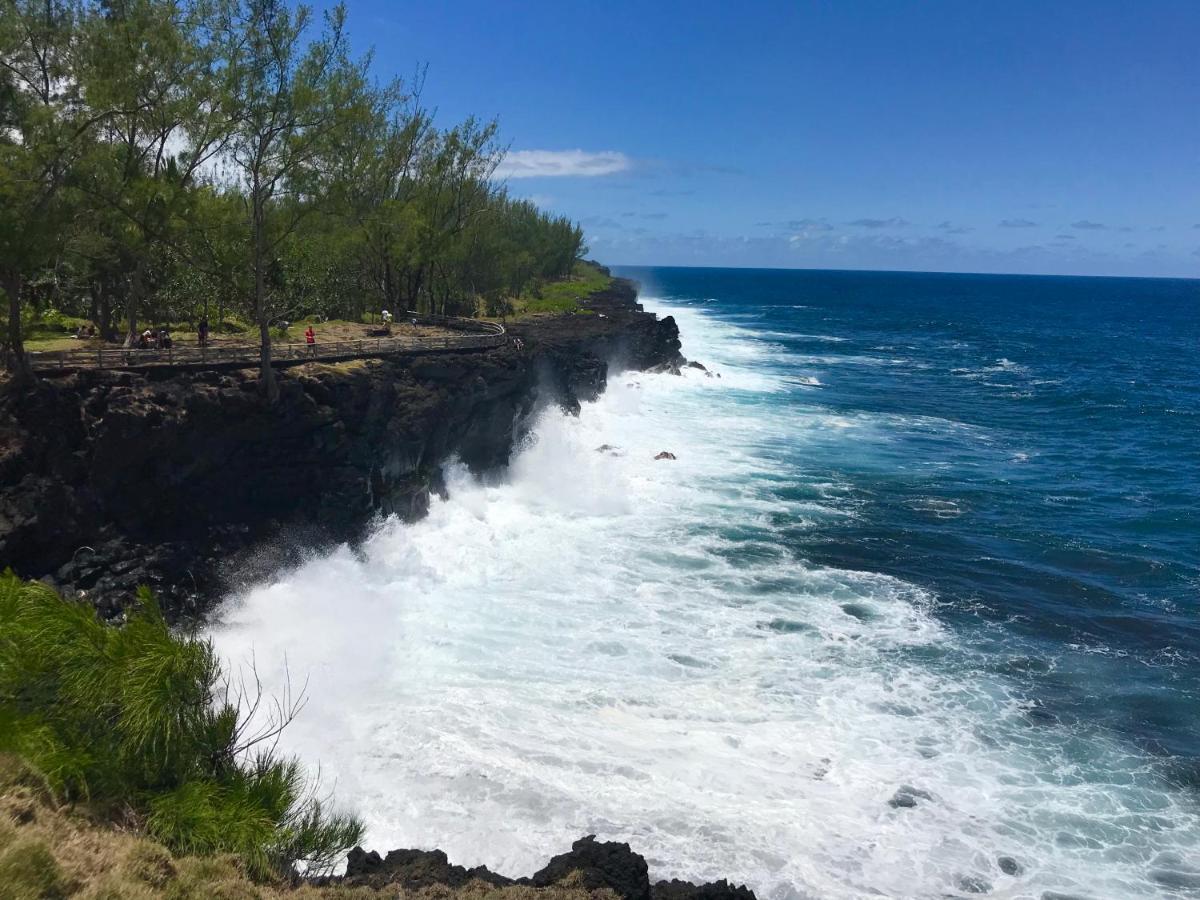 Lounge Des Hauts, 3 Maisons A L'Etang-Sale Avec Vue Sur L'Ocean Indien Et La Foret Bagian luar foto