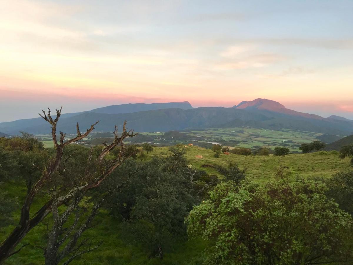 Lounge Des Hauts, 3 Maisons A L'Etang-Sale Avec Vue Sur L'Ocean Indien Et La Foret Bagian luar foto